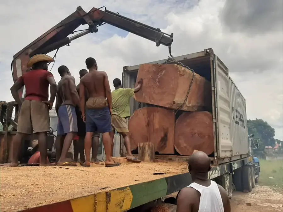 Workers loading hardwood logs into a shipping container with a crane