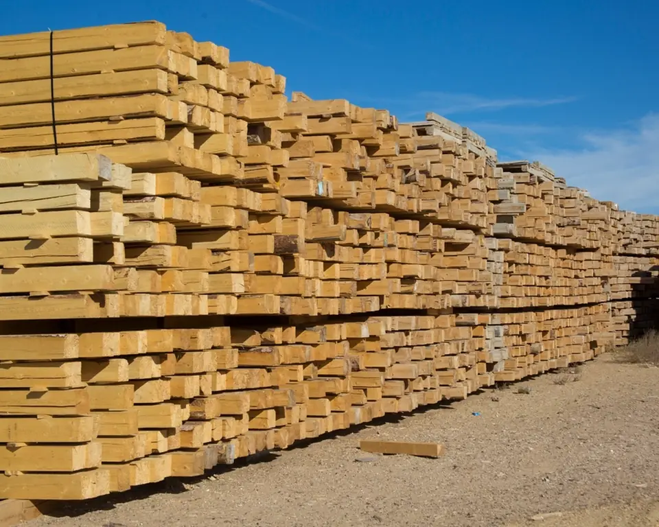 Long stacks of sawn timber in a timber yard under a blue sky