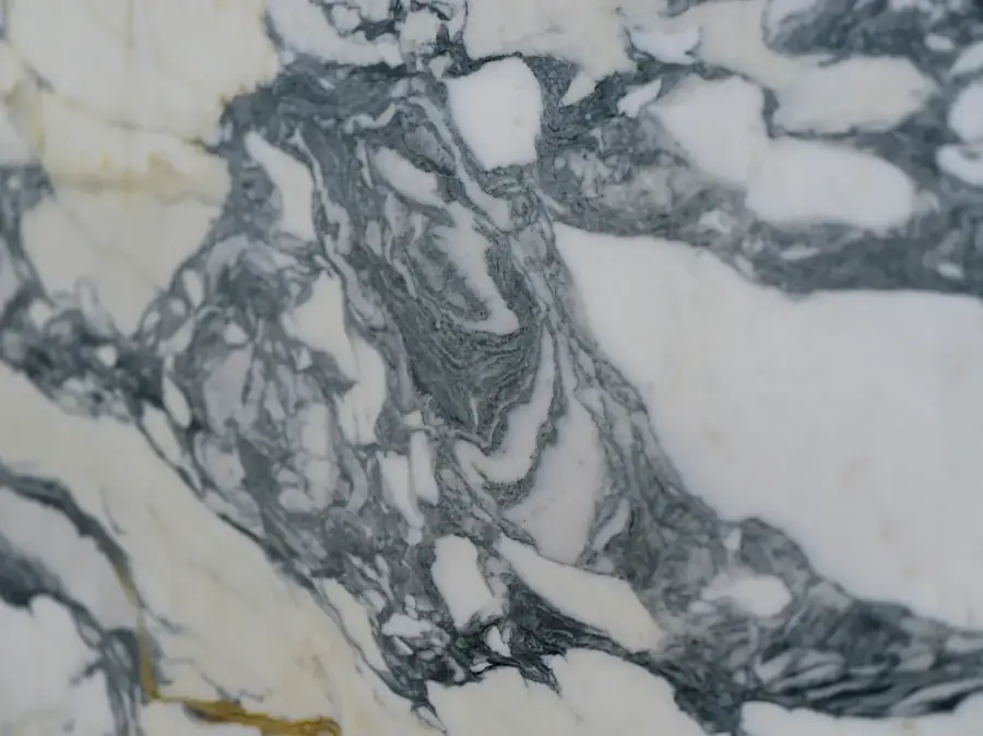 Close-up of polished white marble with dark veins